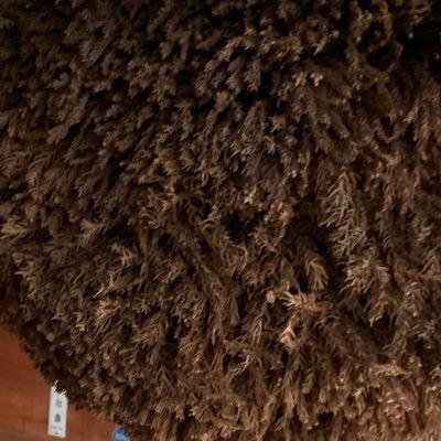 furusatobanzai's profile picture. のどかに 趣味は競馬 週末は競馬 ギャンブルは競馬