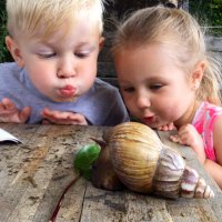 Grangetown Nursery (@grangetownn) 's Twitter Profile