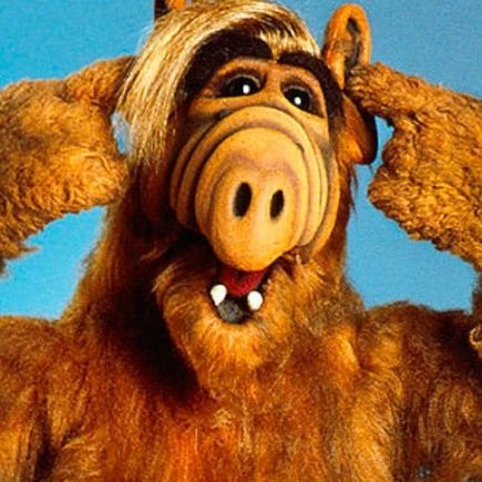 Alf987123's profile picture. Slučajno skrenuo i završio na 3. kamenčiću od Sunca. I sad se čudim...