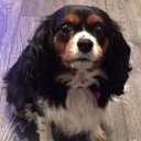 Tina Rhodes - @TinaRho03568989 - Twitter
