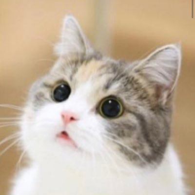 雑食オタク垢です。 BIGBANG.BTS.ATEEZ.IMFACT💕💕かなり大人です💜 無言フォロー失礼します。
