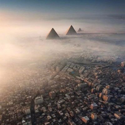 projectbuild3's profile picture. 