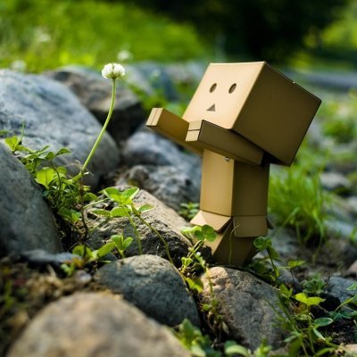 nature_bots's profile picture. 