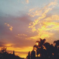 TSActu (@tsactu) 's Twitter Profile