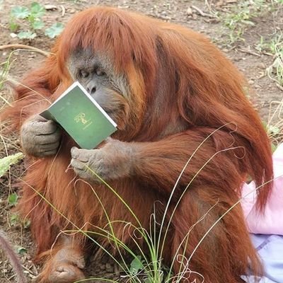 FusionSamurai's profile picture. Striving after wind