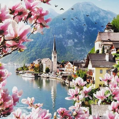 theexpat_net's profile picture. The expat network