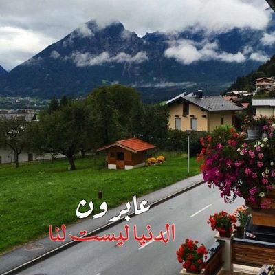 انا يمني حر لا انتمي الى أي حزب
حزبي المقدس الوطن 
I am a free Yemeni, I do not belong to any party
 My holy party home