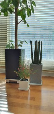 MD9o76FIw3GR4EG's profile picture. 안녕하세요