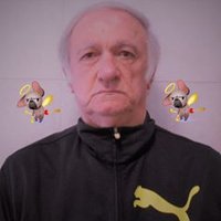 Giuseppe Alari (@giuseppe_alari) 's Twitter Profile