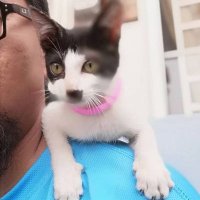 Blank_f (@exo82) 's Twitter Profile