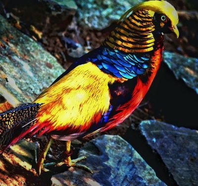 anamikavinod's profile picture. https://t.co/cu7HHmmGcT graduate practice photography interest in film making follower of bapu hate hypocrisy views are personal retweets are not endorsed.