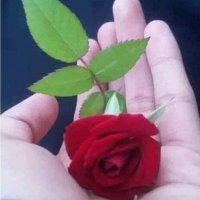 Ali Fathi (@alooli363464) 's Twitter Profile