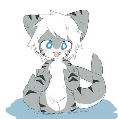 Changed Tiger Shark and changed 18+