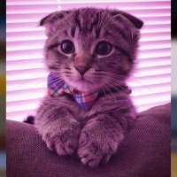 شوووق (@mvugdvfgor) 's Twitter Profile