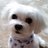まるのTwitterプロフィール画像