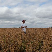 Francisco Elorza (@pacoelorza) 's Twitter Profile