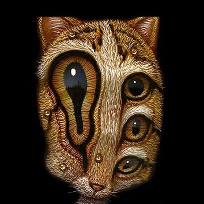 iamcryptiic's profile picture. You found me, good job. Now follow me