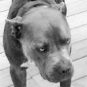 Bradley Boyer - @HzlEyeGmn1980 - Twitter