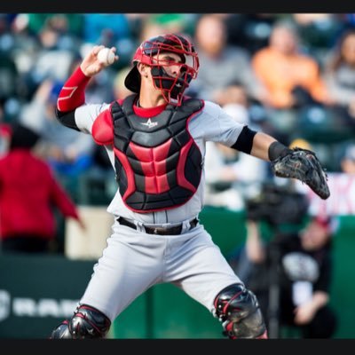 Martin Medina 7 year professional baseball player Specialist in catching Learn more about me at: https://t.co/MFdMxVwtEx