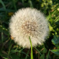 LBπ (@l_b_hort) 's Twitter Profile
