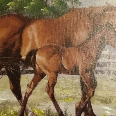 Boltron16's profile picture. 