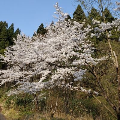 ネーム､なりたい人に変えました。