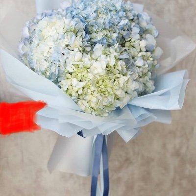 angels6080's profile picture. 停止朴槿惠踏入美国领土