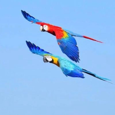 Ser sincero con la vida y con quien la vives es la base para ser realmente feliz.