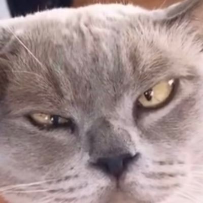 SaartjeRBLX's profile picture. life is full of suprises