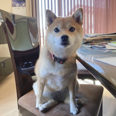 reina21083207's profile picture. 