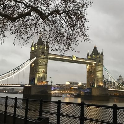 Arboricultural myth buster,promoting the benefits of London’s trees