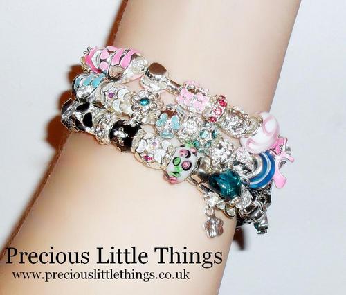 Precious Little Things

We specialise in charm bracelets for both women and children and sell the latest designs which are popular with our customers.