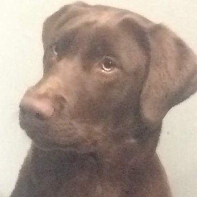 AJAYMES6's profile picture. 🎶 🏃‍♂️ 🏈 🎾