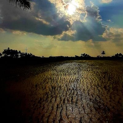 Sathyatweet2's profile picture. #Humble