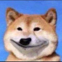 π (@bread_is_here) 's Twitter Profile
