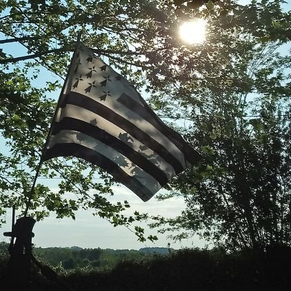 ANTIDICTATURE1's profile picture. 