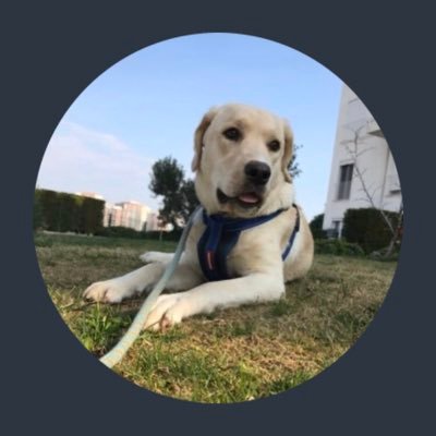 ozomert's profile picture. 