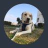 ozomert's profile picture. 