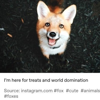 Lucky foxy devilish hella queer gamer anime enthusiast insatiable scalie loving feisty fluff boi Furry Trash🌈❤️🔥🐾 INFP-T Gremlin Fianna Regal Connoisseur~