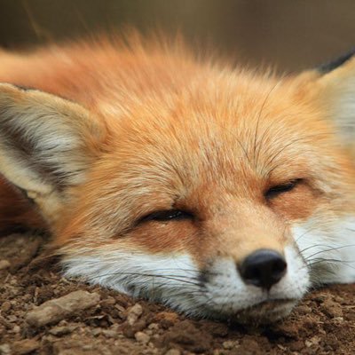 adil_tahlak's profile picture. life its good just be happy 😃