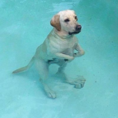 scarFPazLpez2's profile picture. Smart but a fucking dumbass