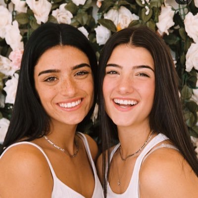 Charlie And Dixie Damelio Leah61816964 Twitter