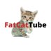 fatcattube (@fatcattube) Twitter profile photo fatcattube (@fatcattube) Twitter profile photo