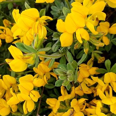 Simo15943400's profile picture. 🧠🧠🧠