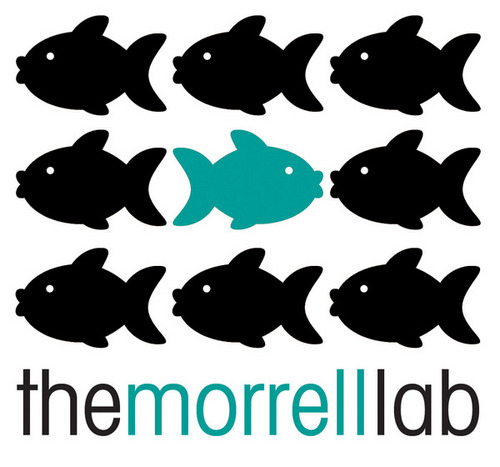 BioScienceMum's profile picture. Prof of Bioscience Education. Associate Dean Education @HullUniScience. NTF 2020. PFHEA. Behavioural ecology @hullbams. Mum of 1. She/her.