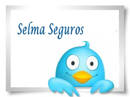 contato@selmaseguros.com
(11)2836-6810 / (11)3213-9093
(11)8666-1393 / (11)6653-0391