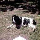 ariel mateo - @ari_titan - Twitter