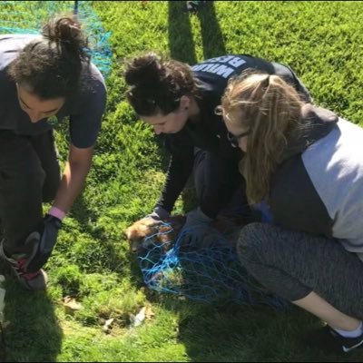 beckyinthewild's profile picture. Communications professional by day. Wildlife rescue professional by 5pm. Passionate about mental health, nature and coffee.