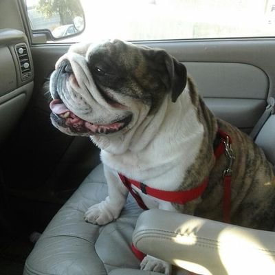 AmadaLinda7's profile picture. 