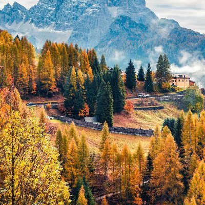 DansDan55281332's profile picture. Tuhdthhf